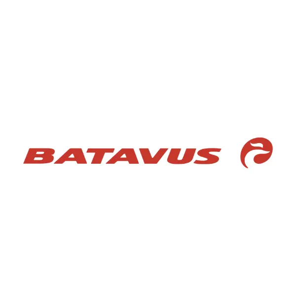 Batavus fietsen
